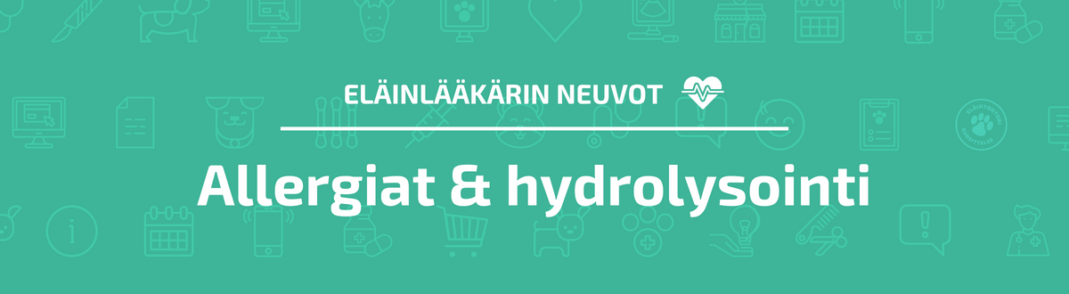 Eläinlääkärin neuvot: Allergiat ja hydrolysointi