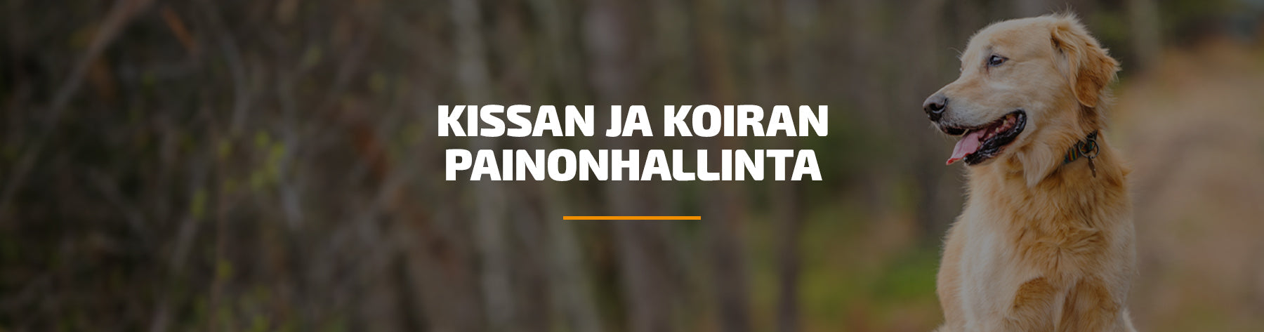 Kissan ja koiran painonhallinta