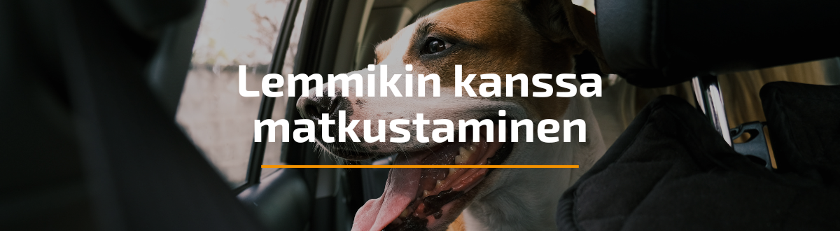 Lemmikin kanssa matkustaminen: täydellinen opas kesälomareissulle