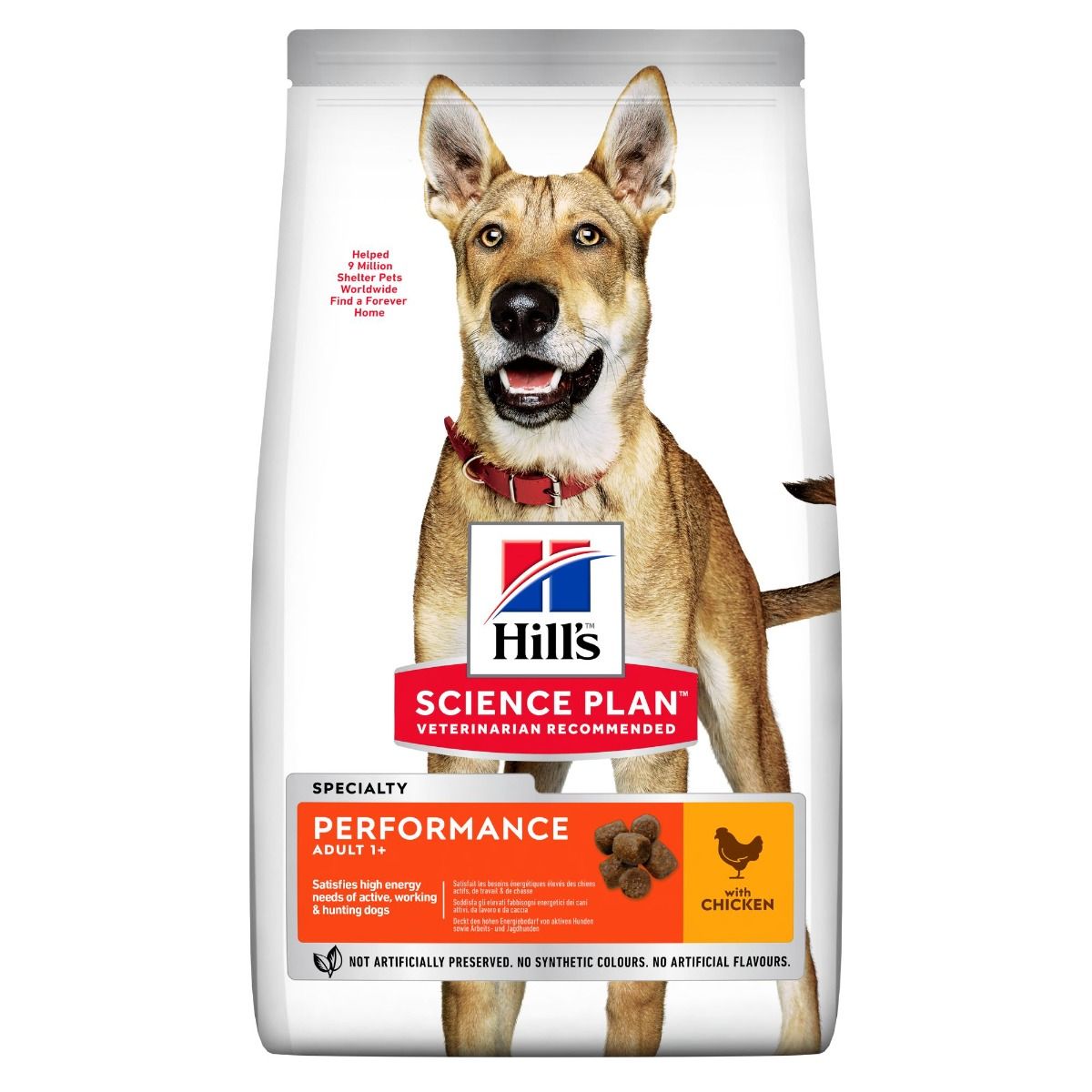 Hill's SP Adult Performance with Chicken koiralle