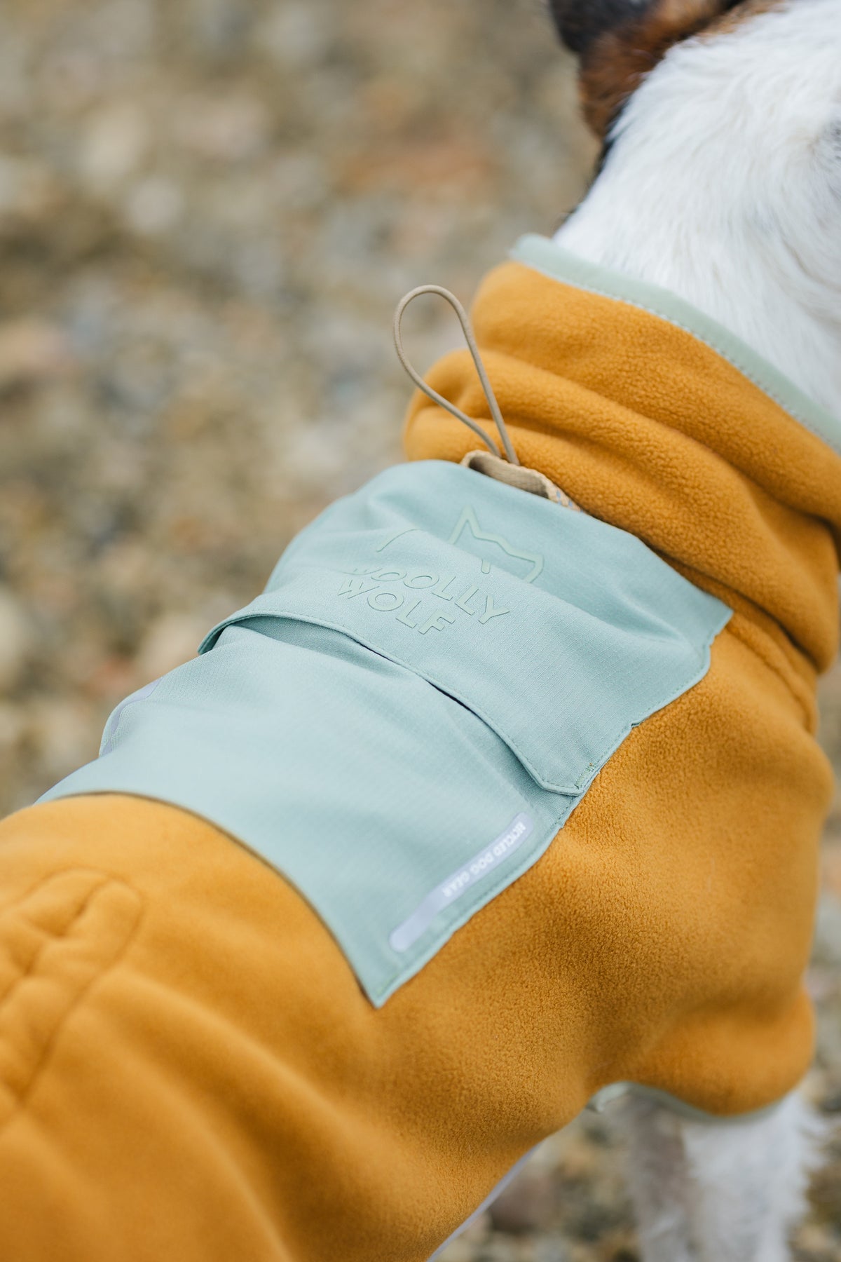 Woolly Wolf Alpha 360 koiran fleecepaita