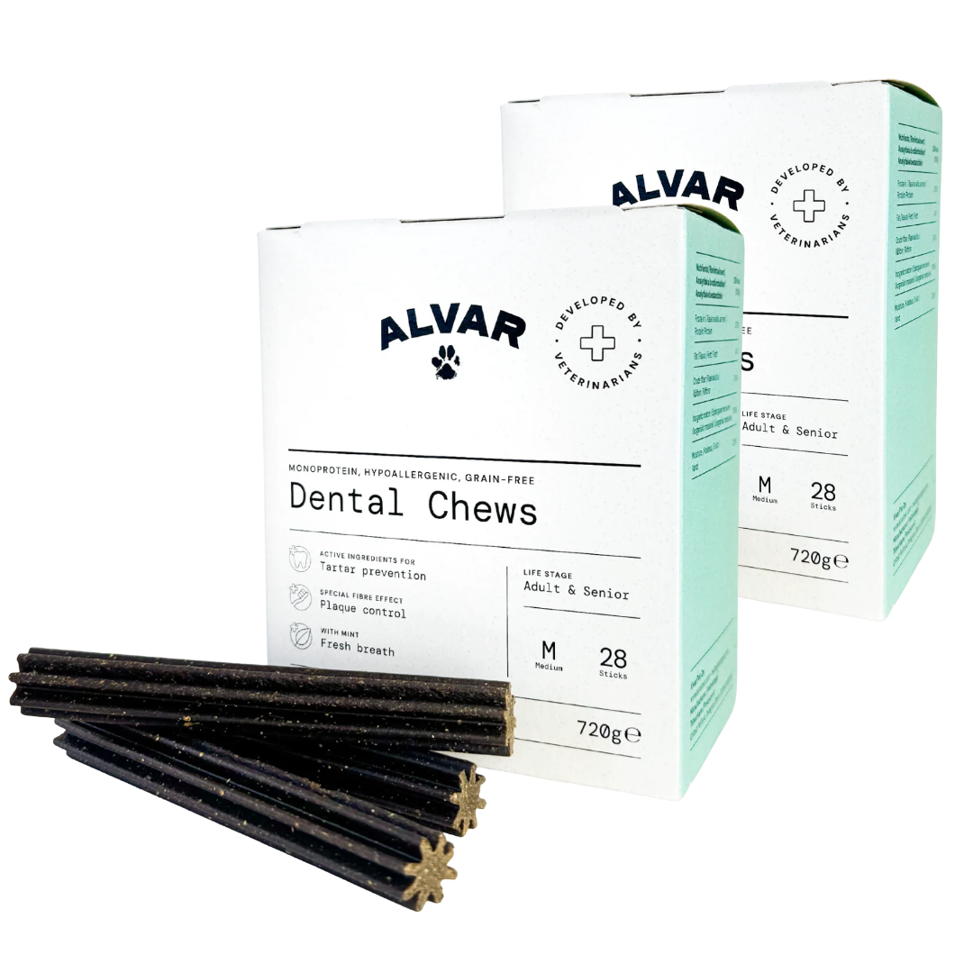 Alvar Pet Dental Chews puruluu M TUPLAPAKKAUS