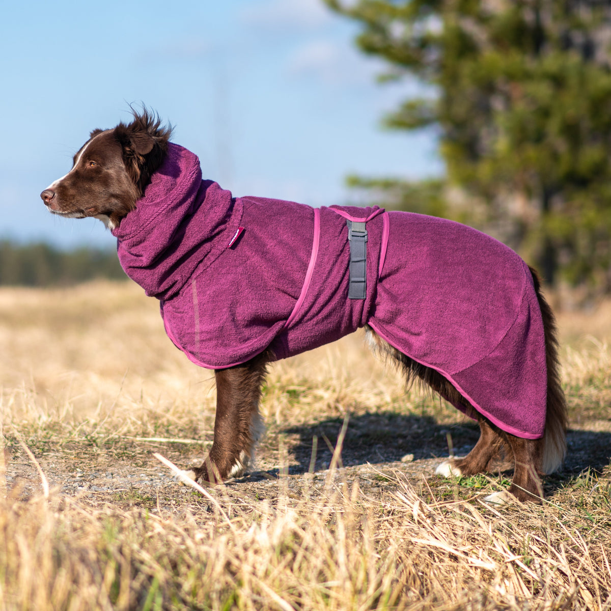 BathPomppa kylpytakki