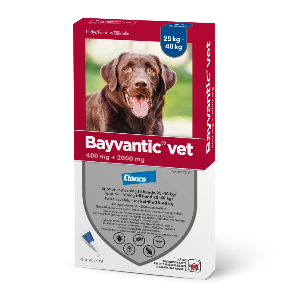 Bayvantic vet 400/2000 mg 4 x 4 ml paikallisvaleluliuos koirille 25–40 kg