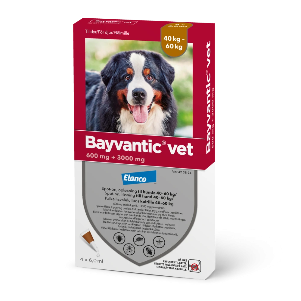 Bayvantic vet 600/3000 mg 4 kpl paikallisvaleluliuos koirille 40–60 kg