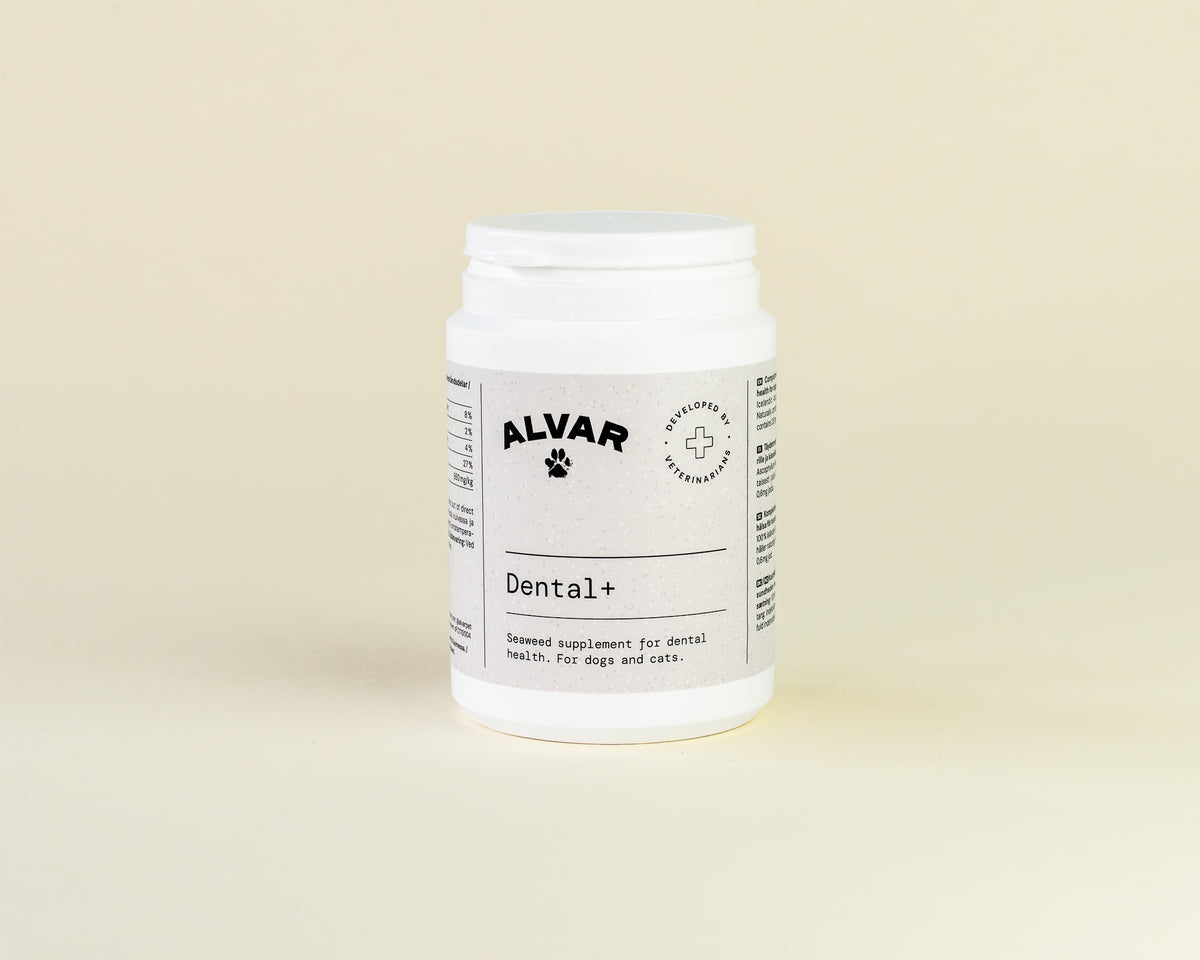 Alvar Pet Dental+ lisäravinne koiralle ja kissalle 150 g