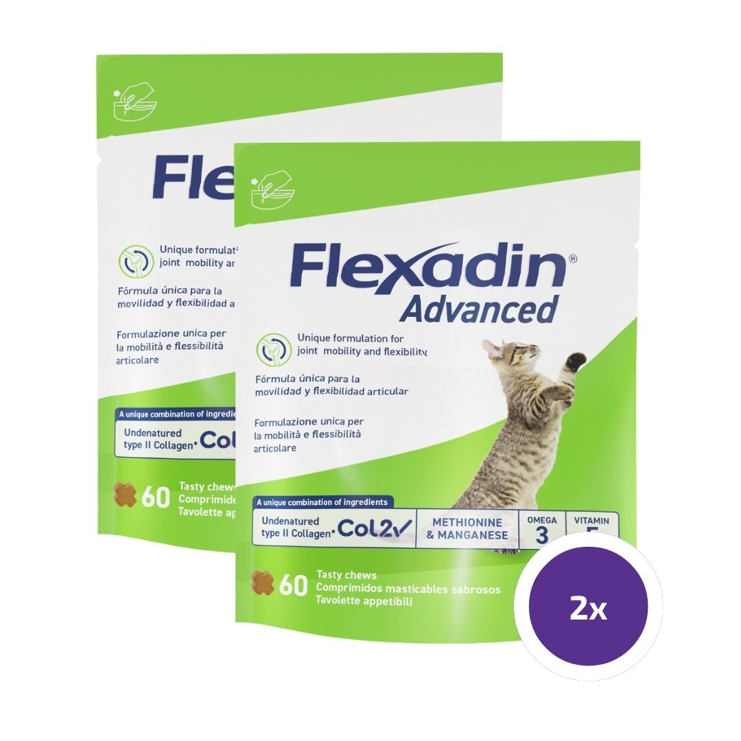 Flexadin advanced kissalle 2 x 60 purutablettia TUPLAPAKKAUS