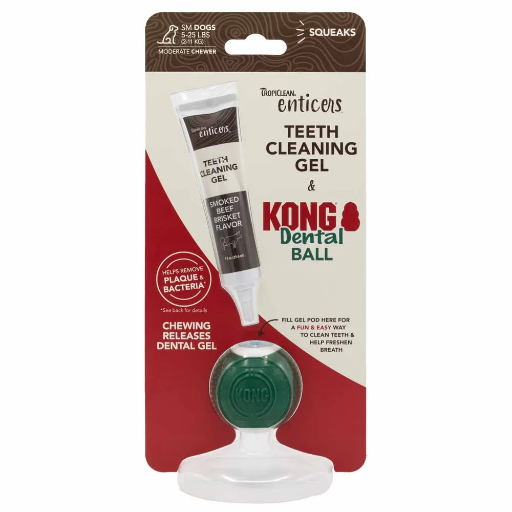 Kong Dental Ball & Tropiclean teeth cleaning gel small dogs