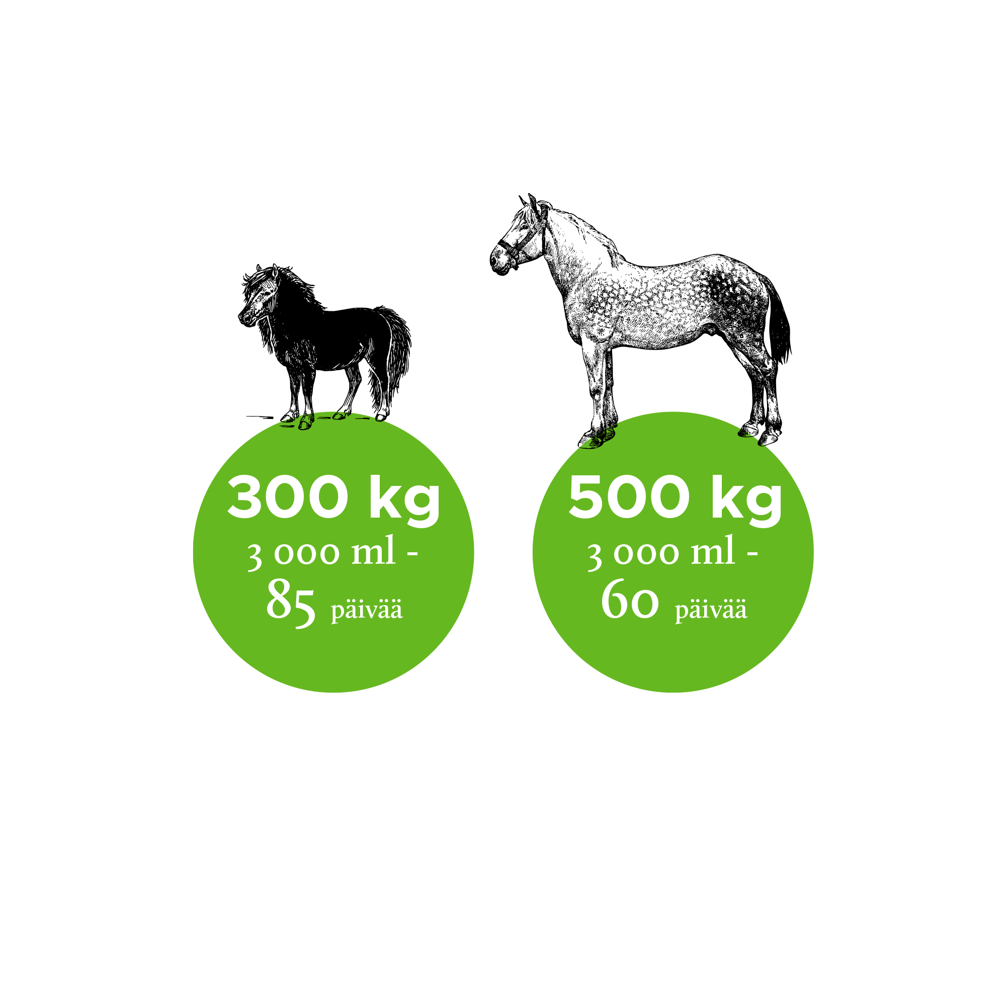Nutrolin Horse Skin & Coat hevoselle 3000 ml