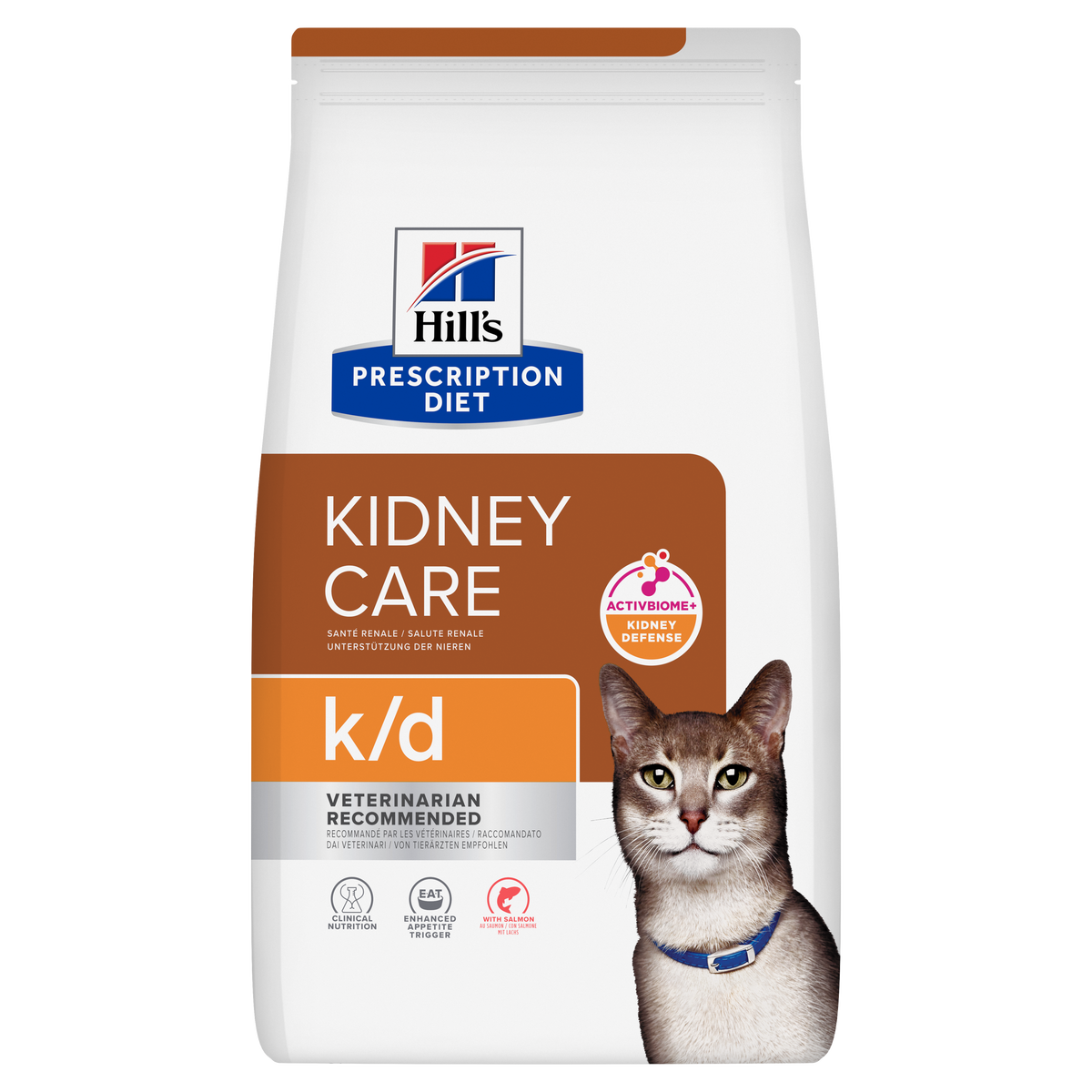 Hill's k/d Kidney Care with Salmon kissalle
