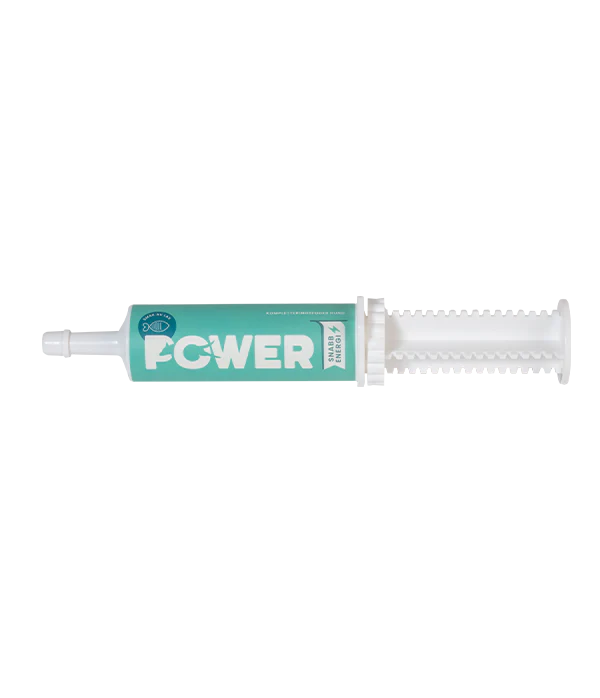 Svenska DjurApoteket Power Lohi koiralle 60 g