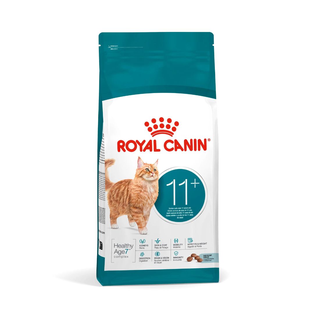 Royal Canin Ageing 11+ kissan kuivaruoka