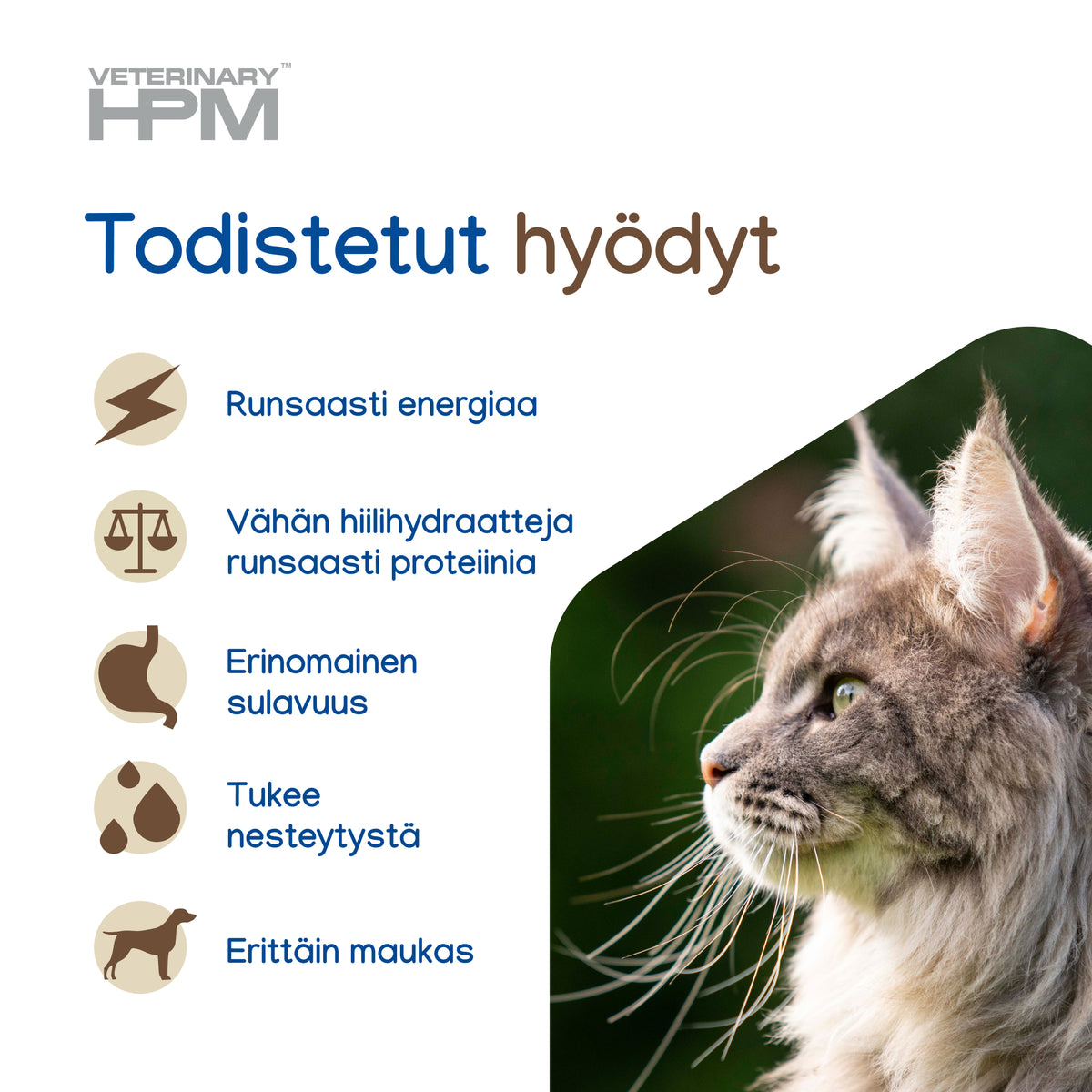 Virbac Veterinary HPM Digestive Support kissalle 85 g MAISTELUPAKKAUS