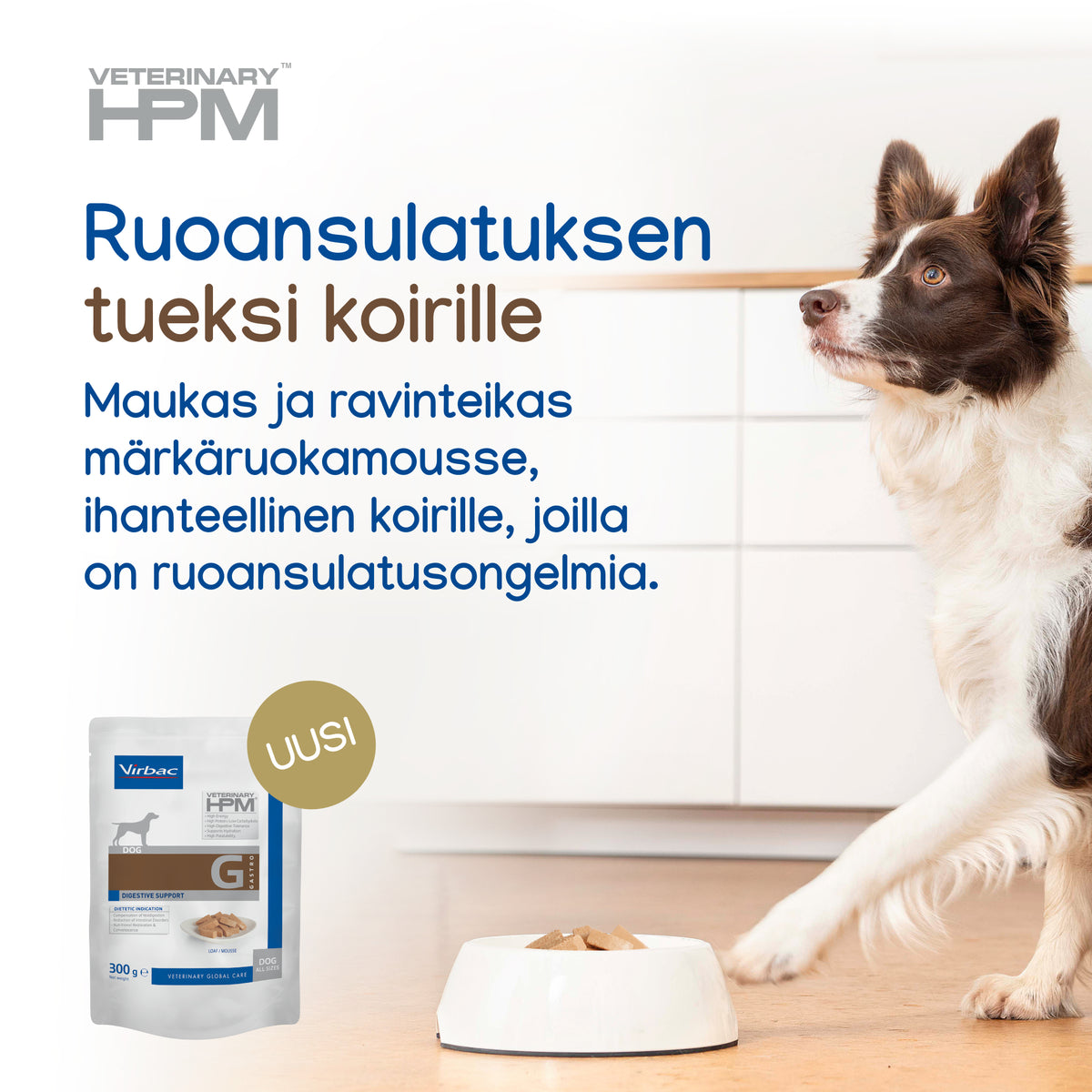Virbac Veterinary HPM Digestive Support koiralle 300 g MAISTELUPAKKAUS
