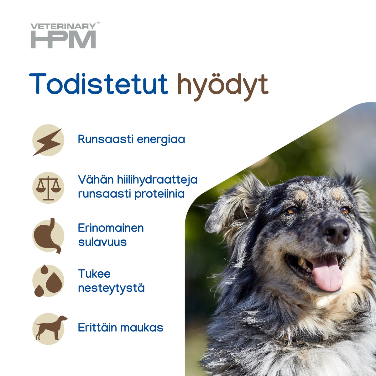 Virbac Veterinary HPM Digestive Support koiralle 300 g MAISTELUPAKKAUS