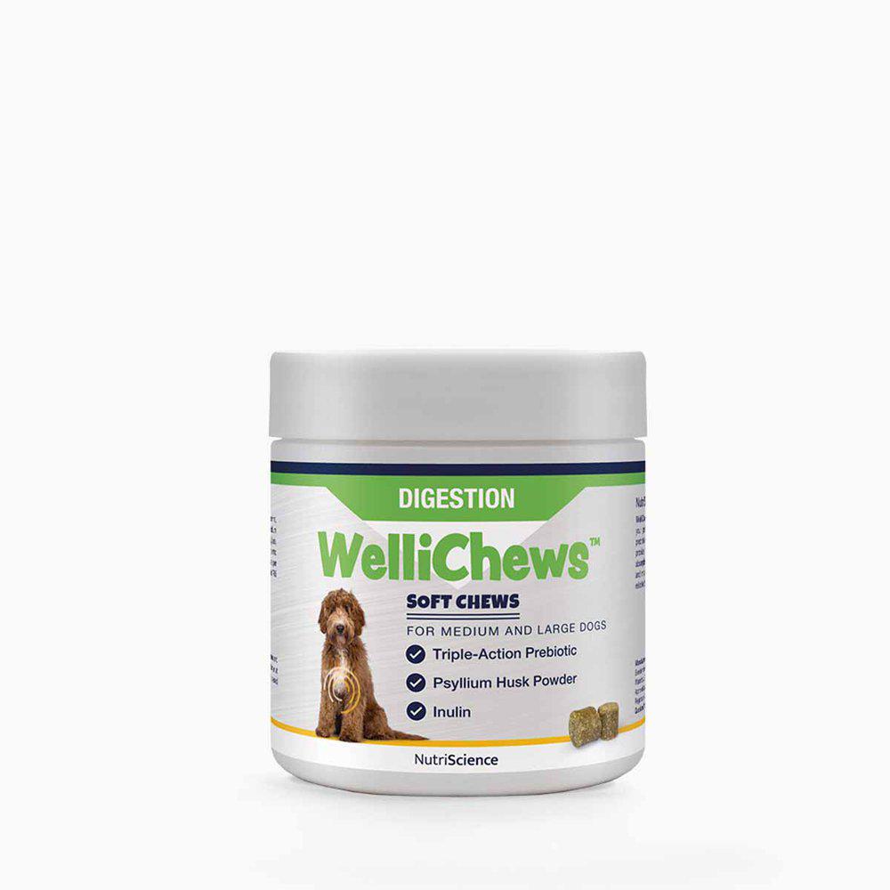 Wellichews Digestion medium & large breed 60 kpl