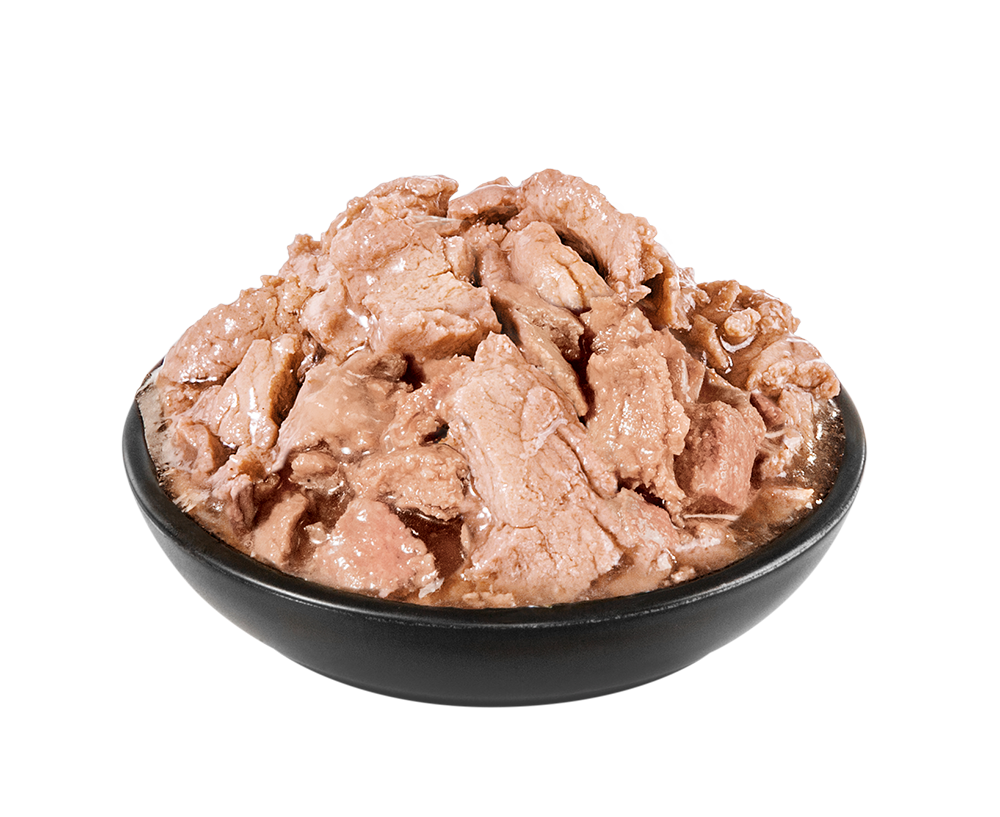 PrimaCat Classic Kalkkunaa kastikkeessa kissanpennuille 85 g MAISTELUPAKKAUS