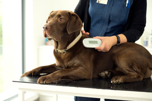 Suresense lukija (thermo) mikrosirunlukija