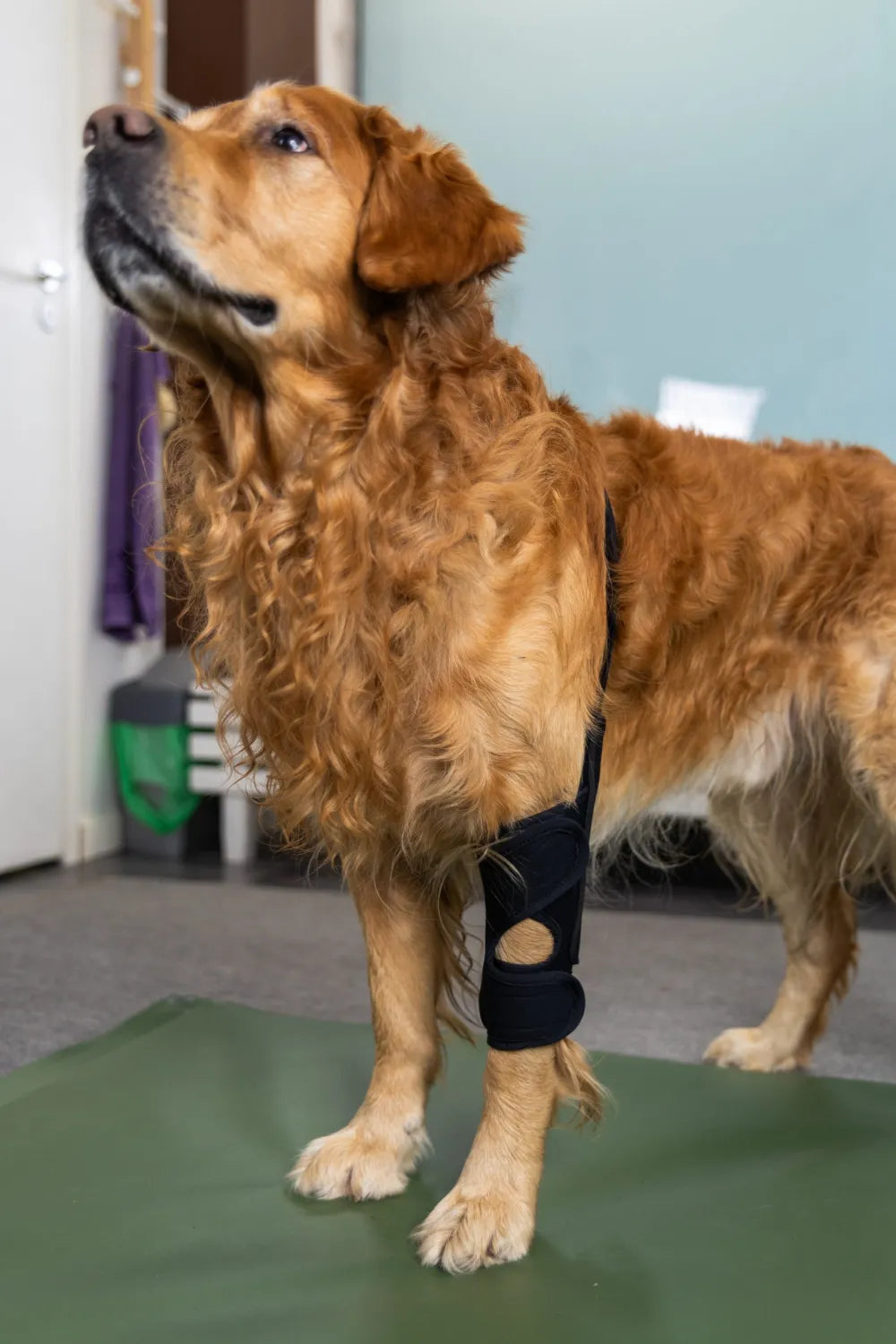 Taituki Kyynärtuki vasen M