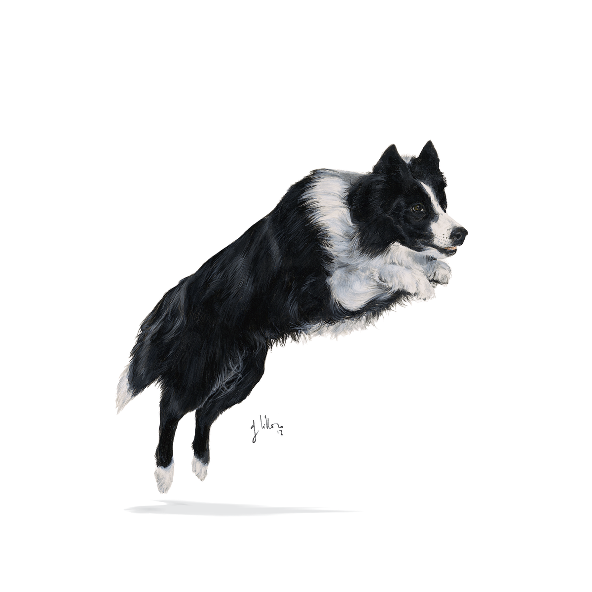 Royal Canin Sporting Life Energy 4100 koiralle 15 kg