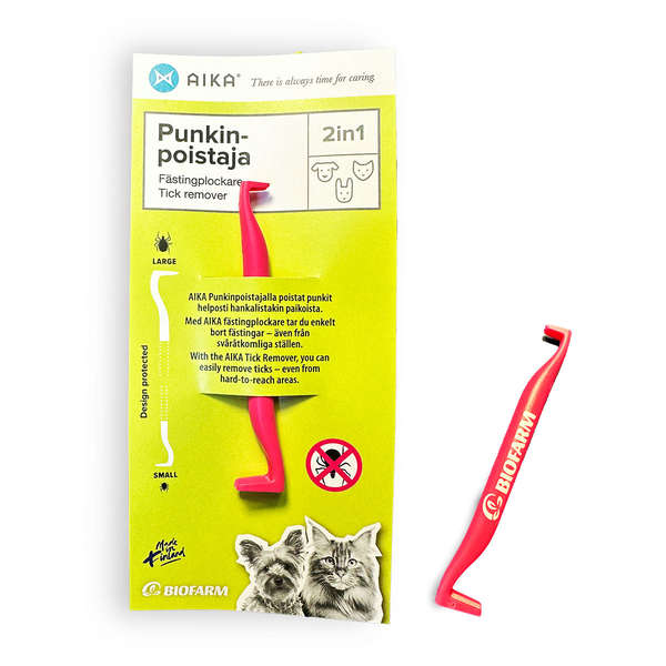 Aika Punkinpoistaja
