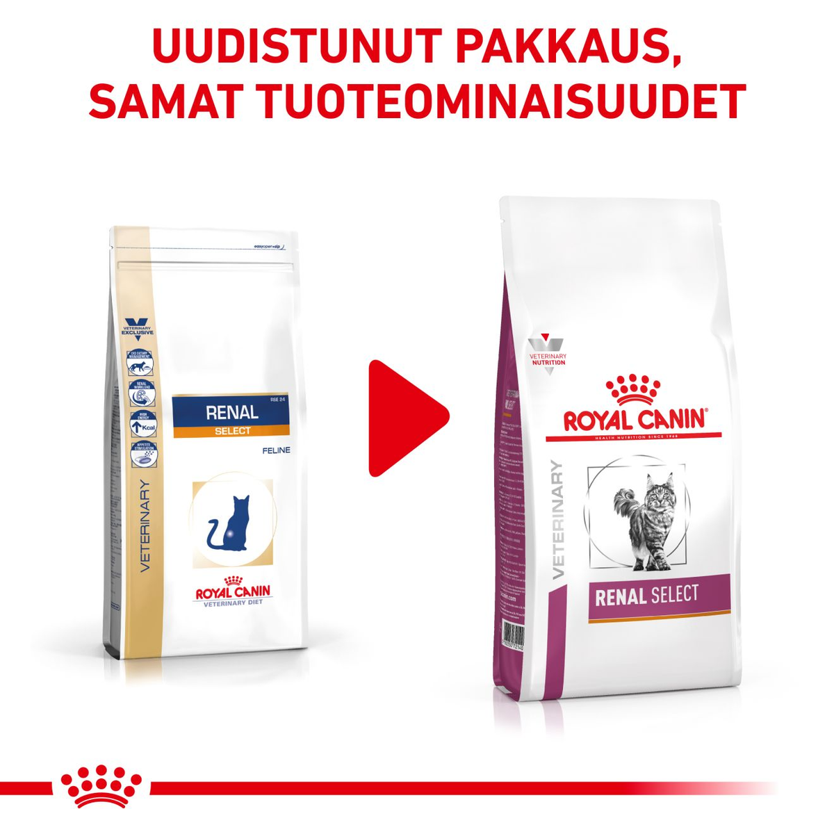 Royal Canin Veterinary Diets Renal Select kissan kuivaruoka 4 kg