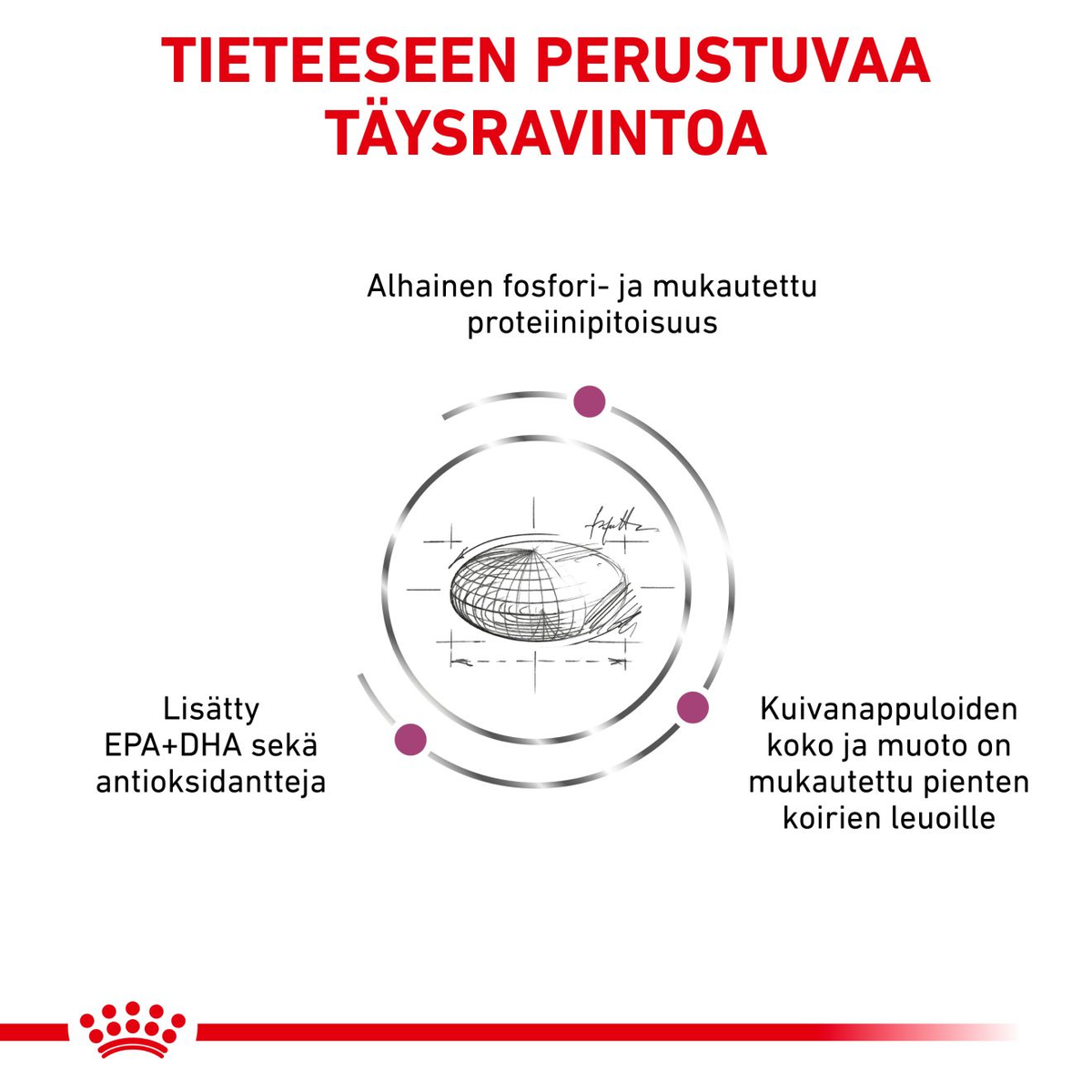 Royal Canin Veterinary Diets Vital Renal Small Dog koiran kuivaruoka 3,5 kg