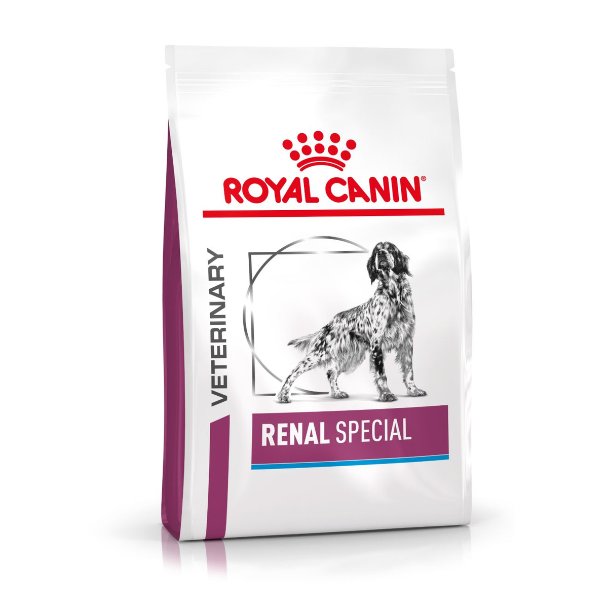 Royal Canin Veterinary Diets Renal Special koiran kuivaruoka 10 kg PÄIVÄYSTARJOUS