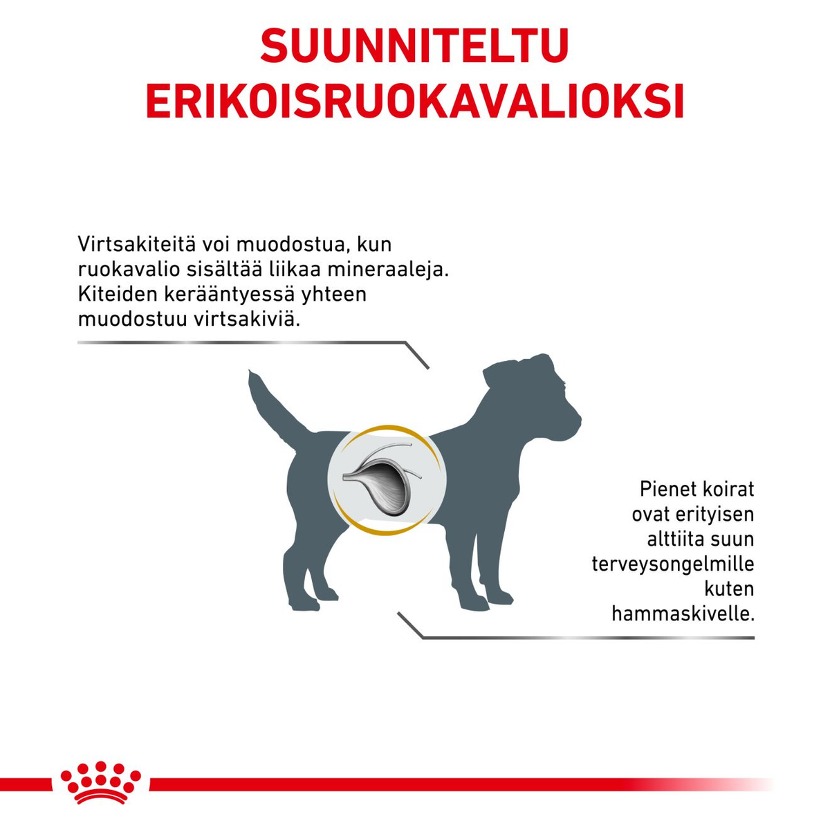 Royal Canin Veterinary Diets Urinary S/O Small Dogs koiran kuivaruoka