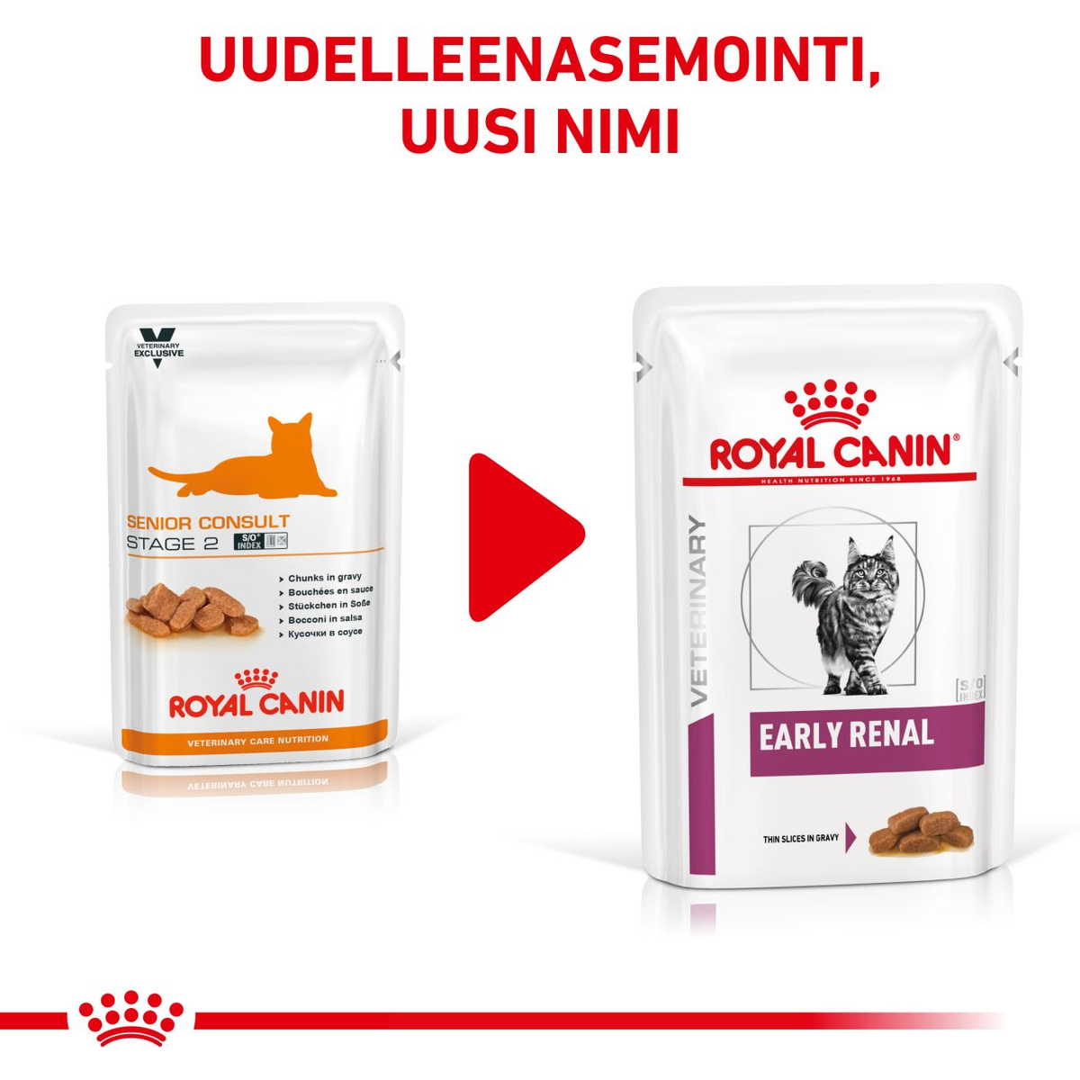 Royal Canin Veterinary Diets Vital Early Renal kissan märkäruoka 12 x 85 g