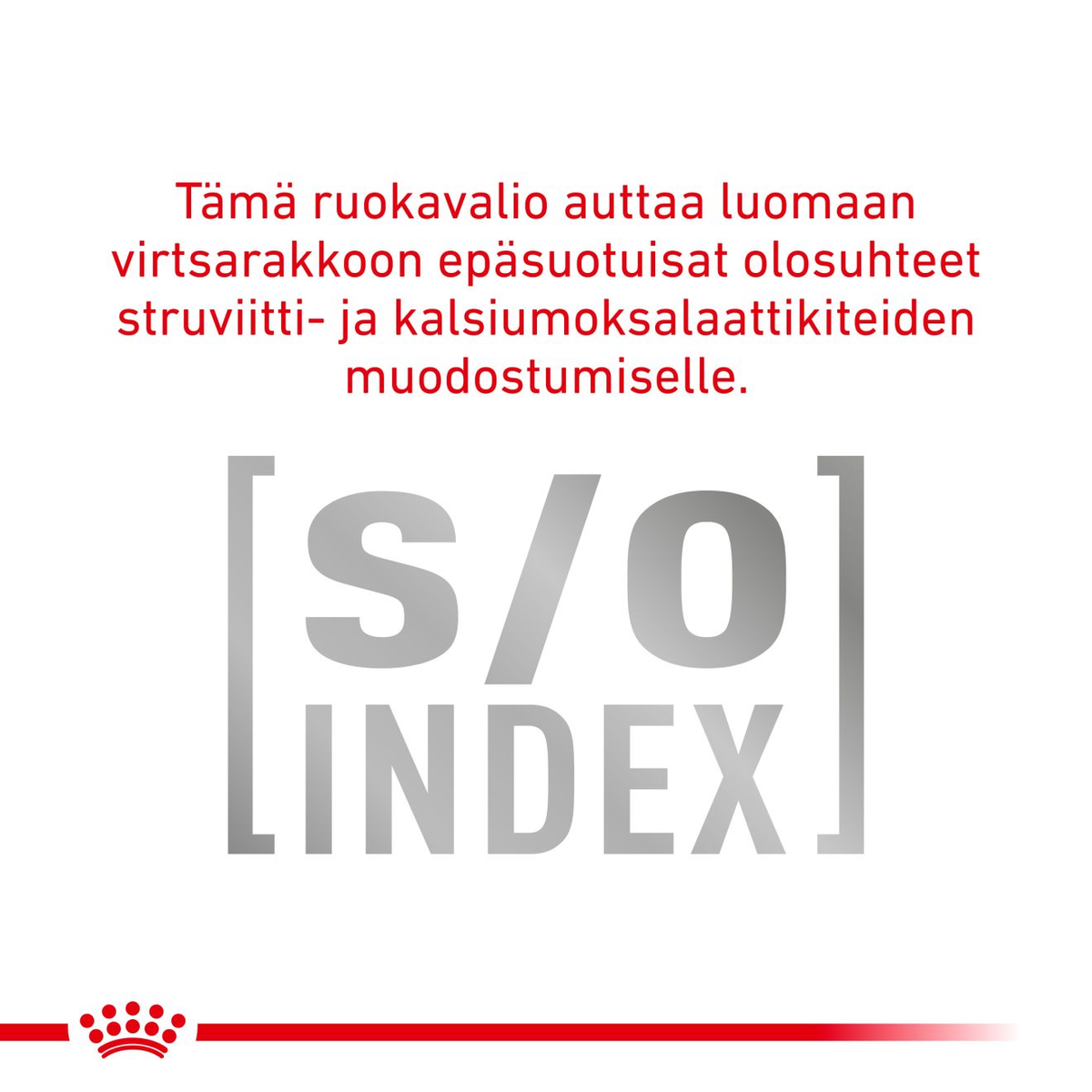 Royal Canin Veterinary Diets Weight Management Satiety Loaf säilykepurkki koiran märkäruoka 195 g MAISTELUPAKKAUS