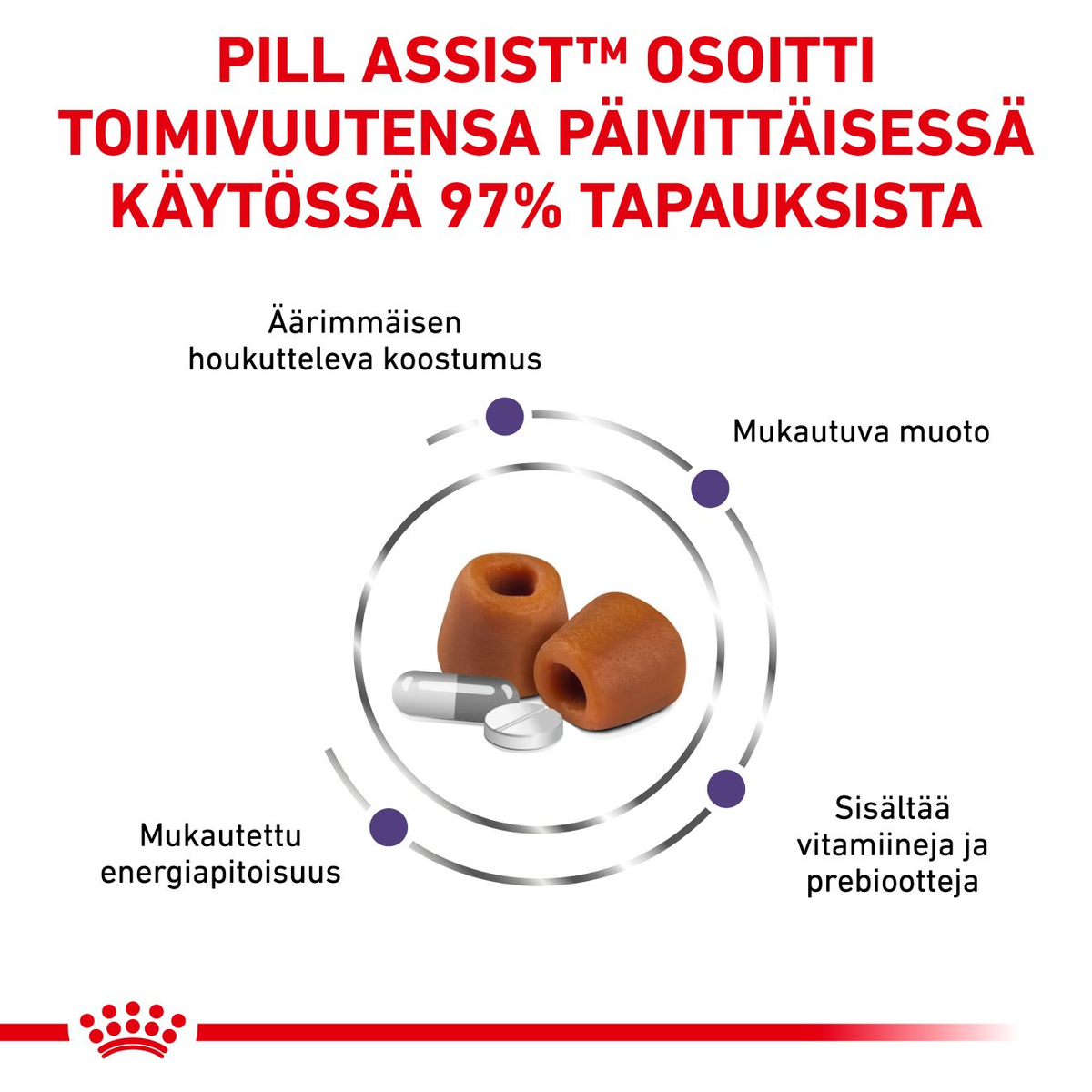 Royal Canin Veterinary Diets Pill Assist Large Dog keskikokoiselle ja isolle koiralle 224 g