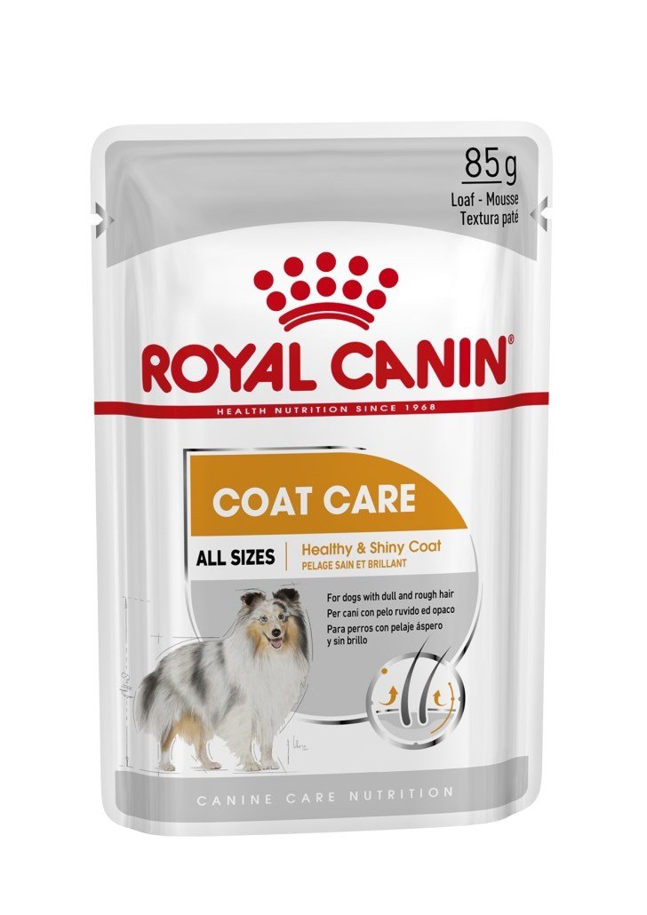 Royal Canin Coat Care koiralle 85 g MAISTELUPAKKAUS PÄIVÄYSTARJOUS