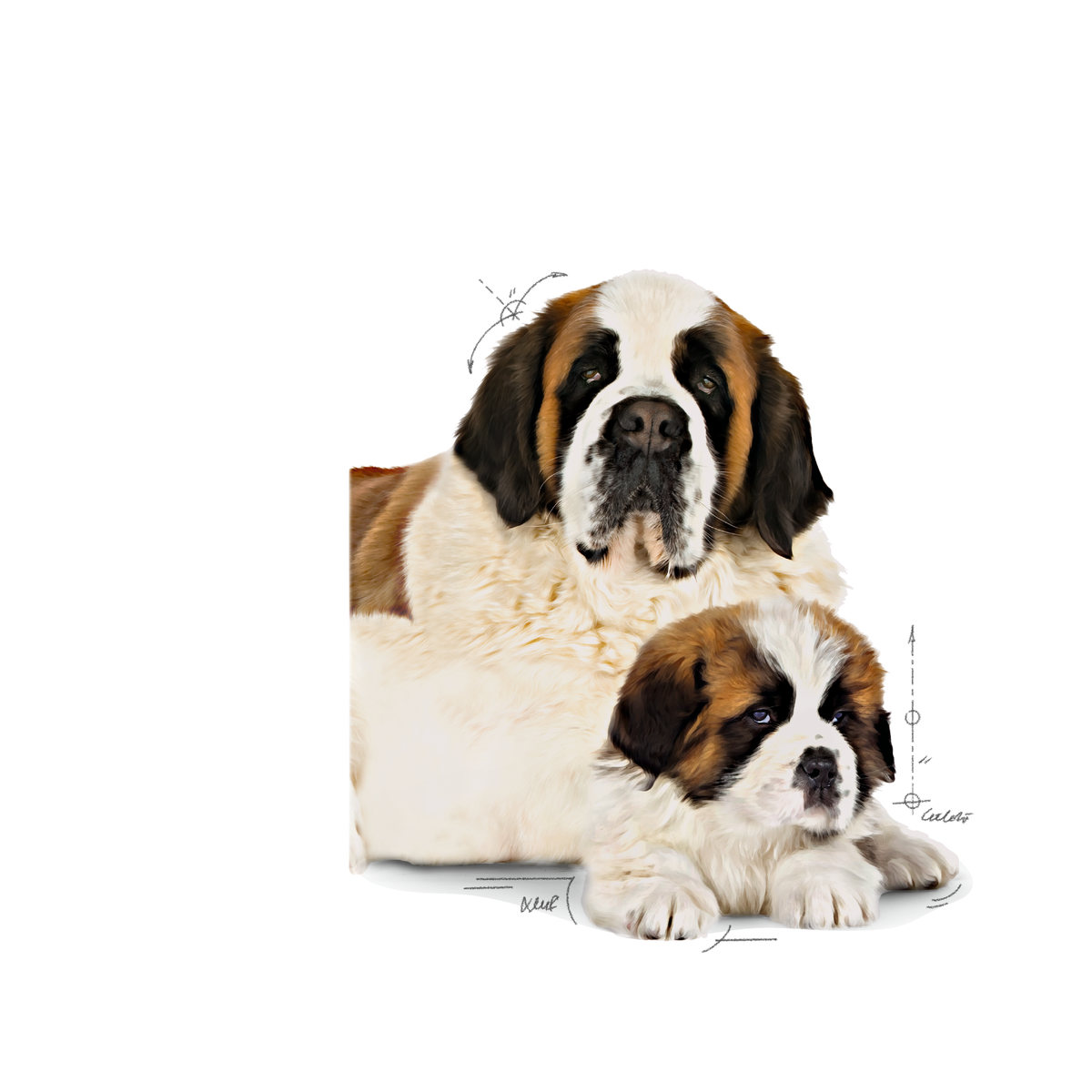 Royal Canin Giant Starter koiralle 15 kg PÄIVÄYSTARJOUS