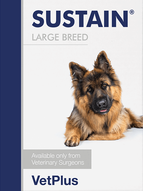 Sustain Large Breed koiralle 30 x 5,4 g
