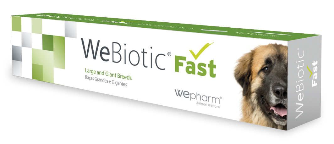 Wepharm WeBiotic Fast oraalipasta koiralle ja kissalle