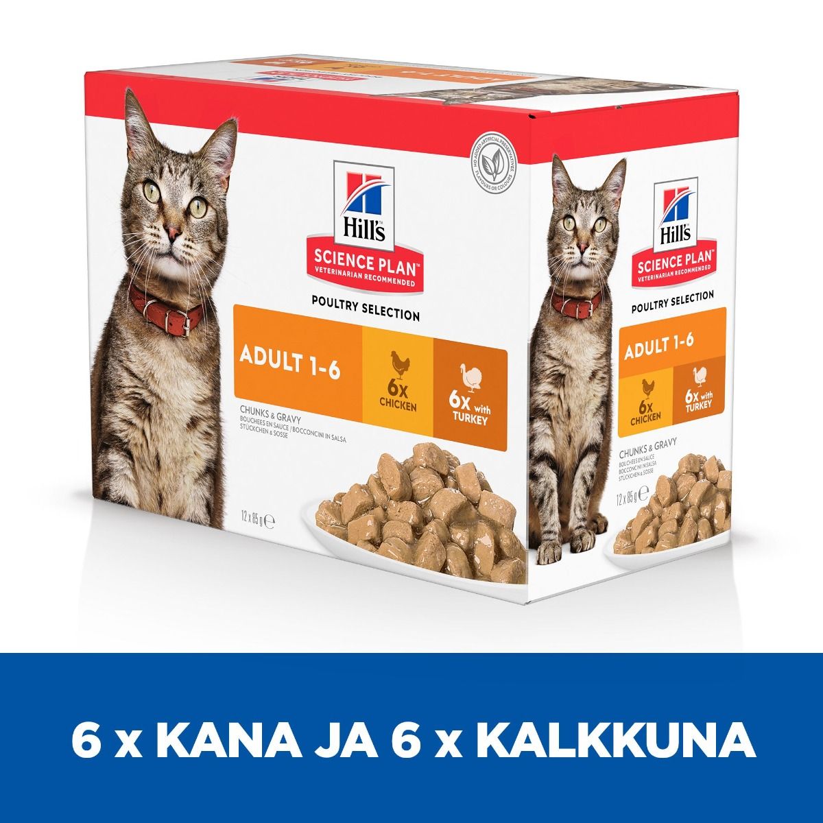 Hill's SP Adult Multipack Chicken & with Turkey kissalle 12 x 85 g