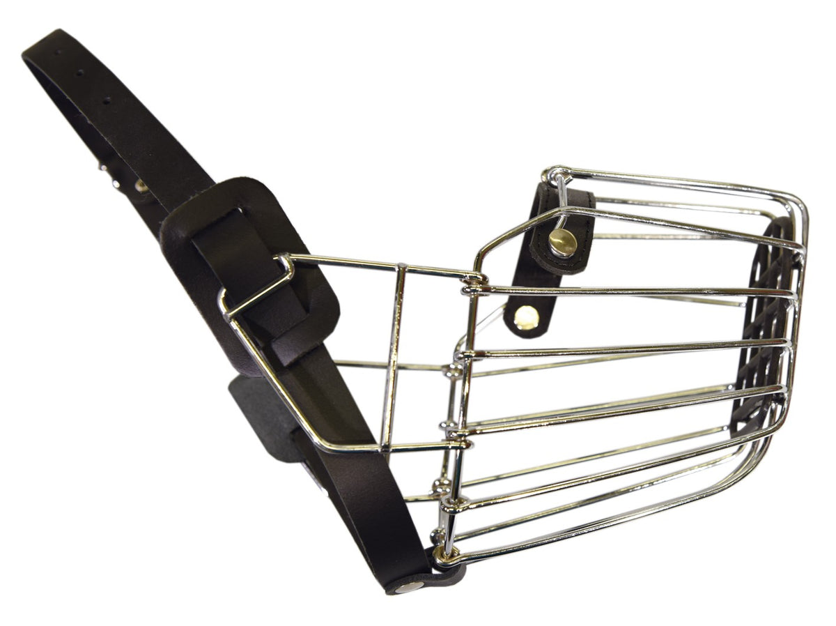 Klin Metallikoppa Saksanpaimenkoira narttu 7