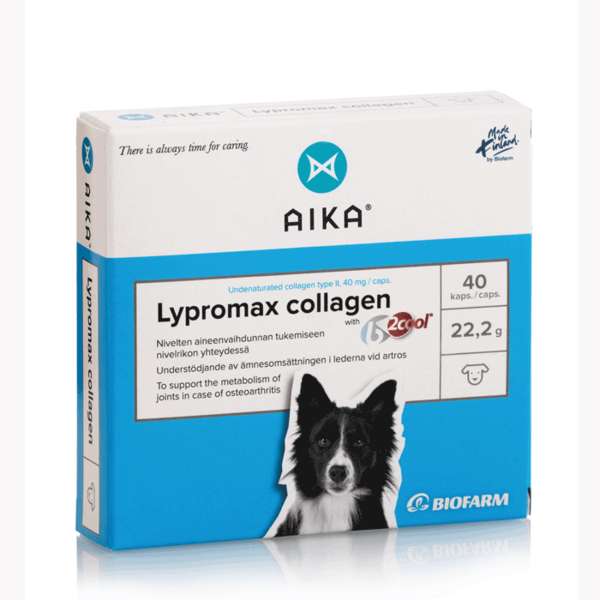 AIKA Lypromax Collagen koiralle 40 kapselia