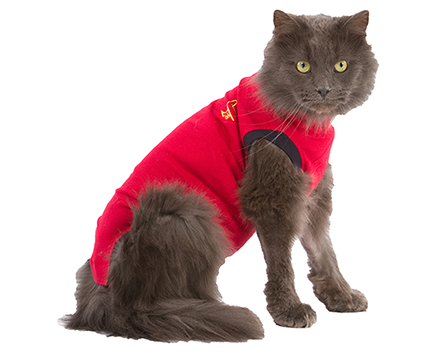 Medical Pet Shirt toipilaspaita kissalle XXS