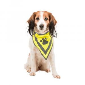 Trixie Huomiohuivi S-M