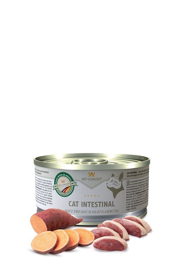 Vet Concept Kissamenu Intestinal 6 x 100 g