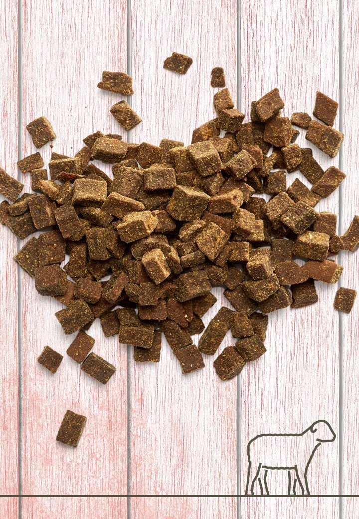 Vet Concept Lihaherkku Karitsa 250 g