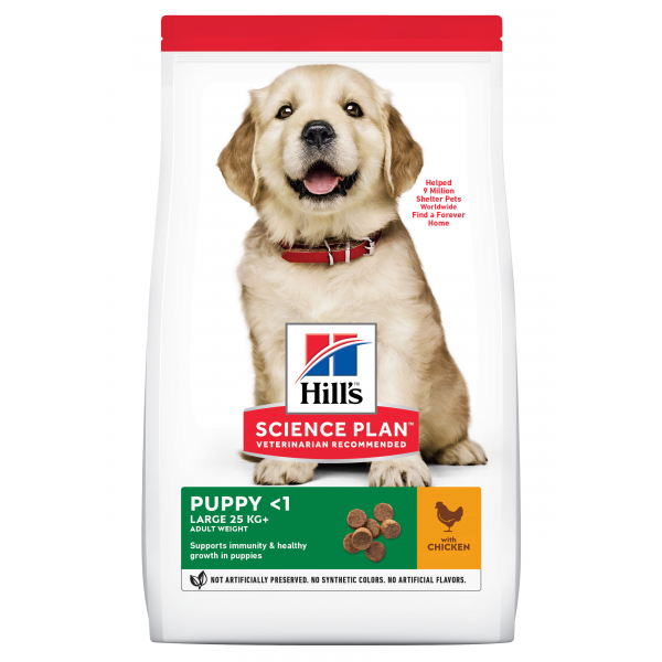 Hill's SP Puppy Large with Chicken koiralle 12 kg