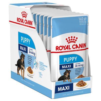 Royal Canin Maxi Puppy koiralle 140 g MAISTELUPAKKAUS