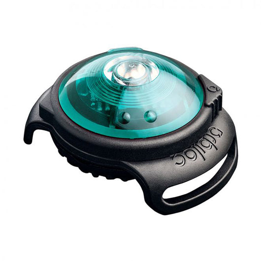 Orbiloc Dog Dual turvavalo turkoosi