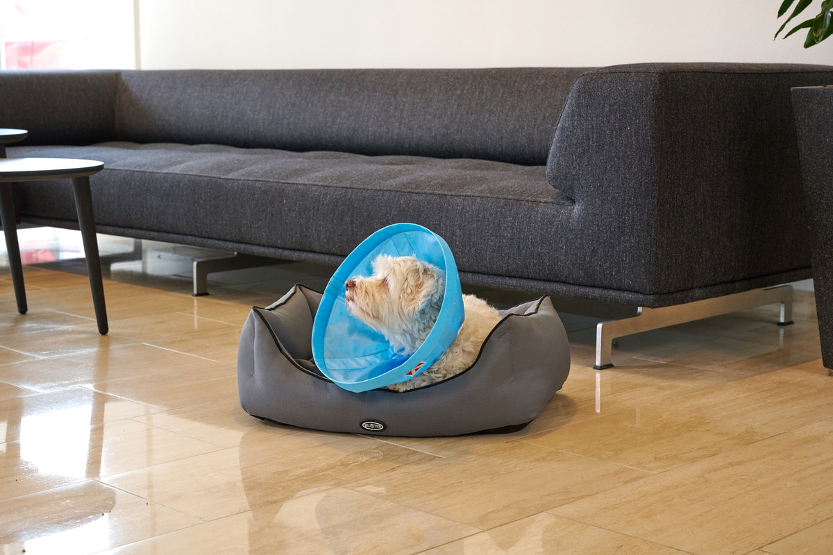 Buster Soft Flex pehmokauluri