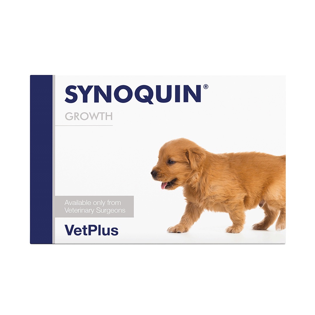Synoquin Growth koiralle 60 tablettia
