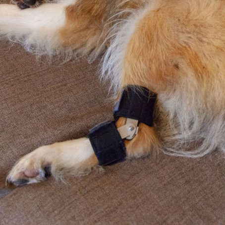 Taituki Kinnertuki takajalka XS