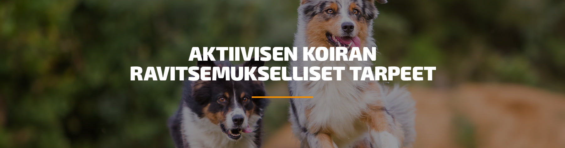 Aktiivisen koiran ravitsemukselliset tarpeet